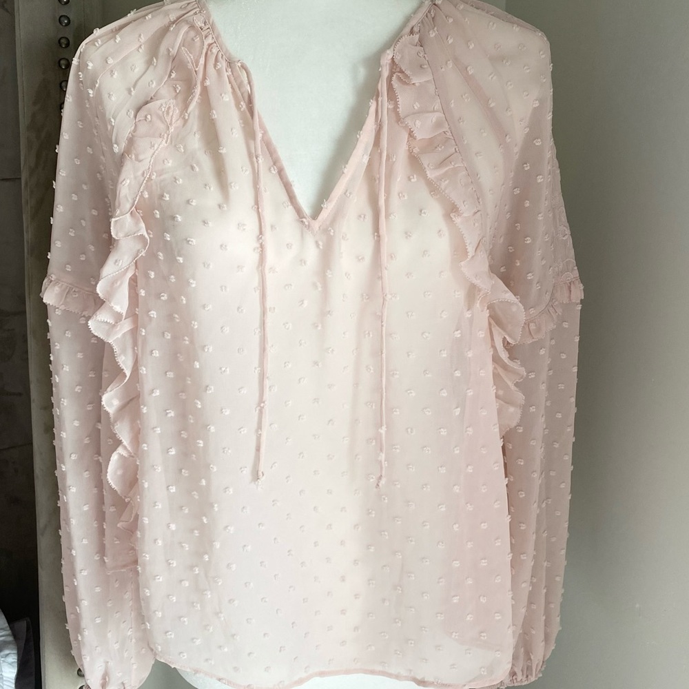 Sheer Pink Express Top Blouse